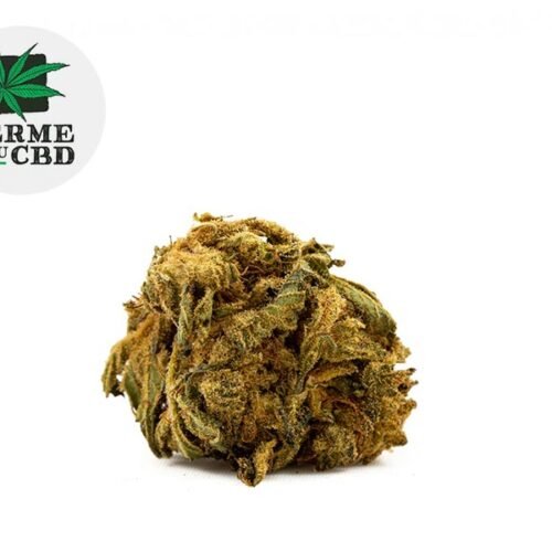 Choco CBD 15% - La Ferme du CBD