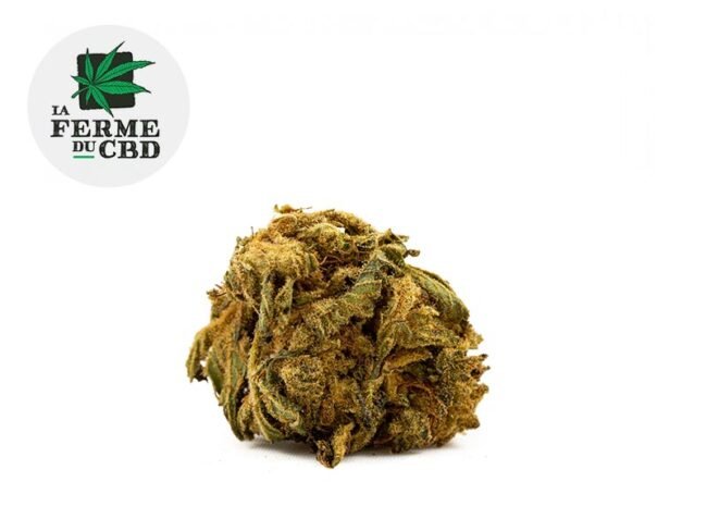 Choco CBD 15% - La Ferme du CBD