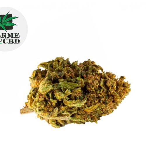 Cookie Kush CBD 14% - La Ferme du CBD