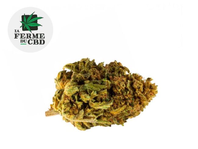 Cookie Kush CBD 14% - La Ferme du CBD