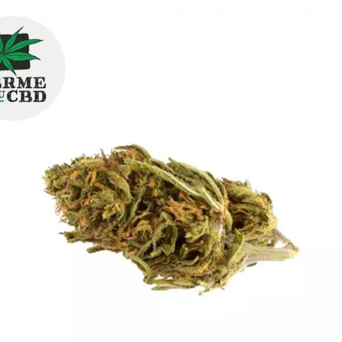 Critical CBD 20% - La Ferme du CBD