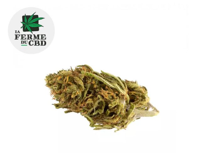 Critical CBD 20% - La Ferme du CBD