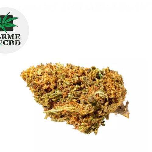 Orange Bud CBD 14% - La Ferme du CBD