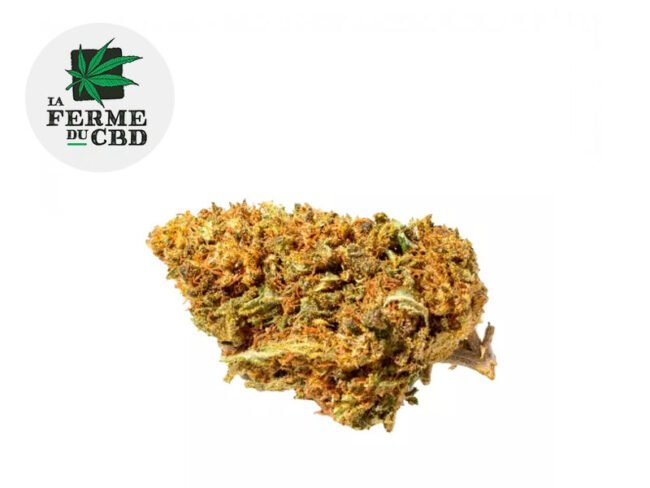 Orange Bud CBD 14% - La Ferme du CBD