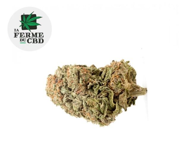 OG Kush CBD 20% - La Ferme du CBD