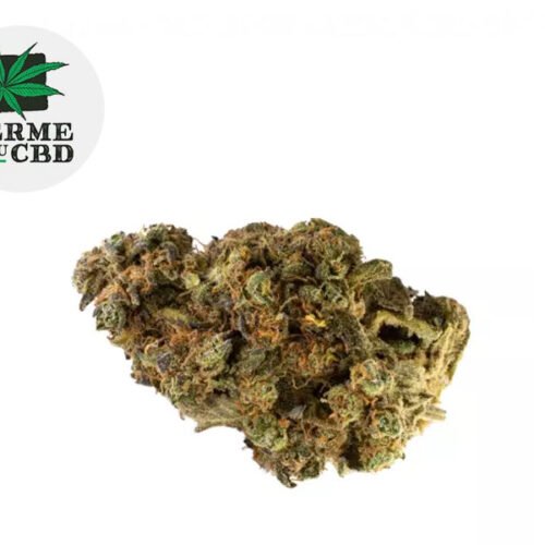 Gelato CBD 10% - La Ferme du CBD