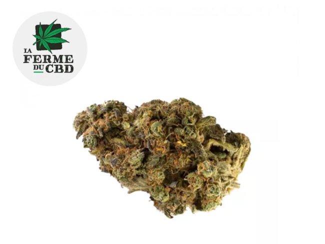 Gelato CBD 10% - La Ferme du CBD