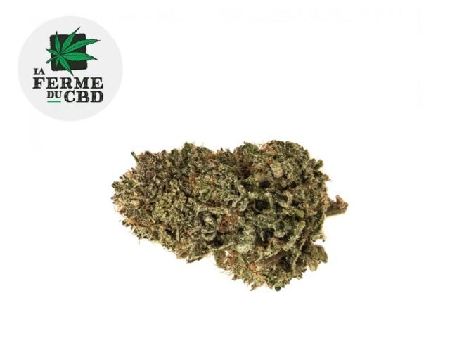 Sour diesel CBD 21% - La Ferme du CBD