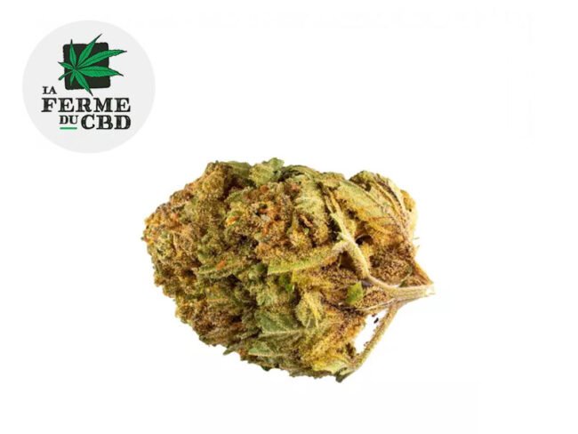 Bubble gum CBD 13% - La Ferme du CBD