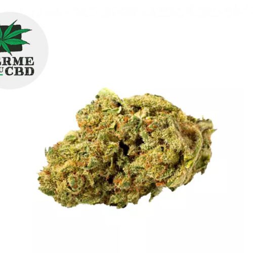 Pistachio CBD 13% - La Ferme du CBD