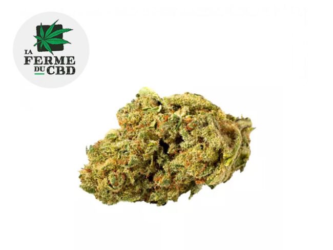 Pistachio CBD 13% - La Ferme du CBD