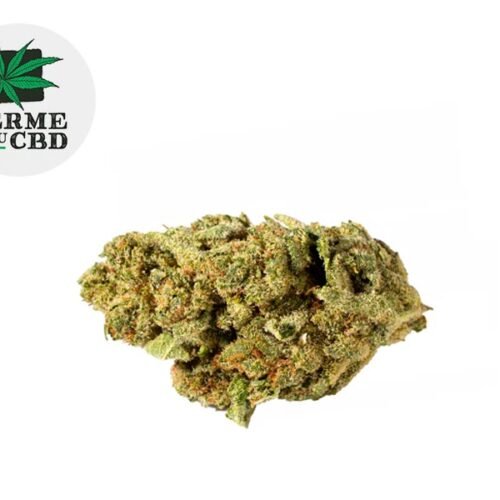 Chocolate Chip Cookie CBD 14% - La Ferme du CBD