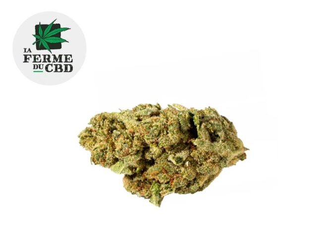 Chocolate Chip Cookie CBD 14% - La Ferme du CBD