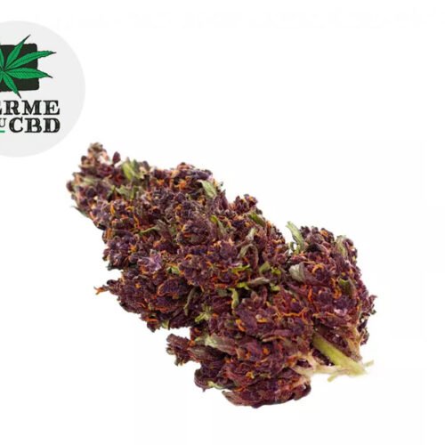 Purple Haze CBD 13% - La Ferme du CBD