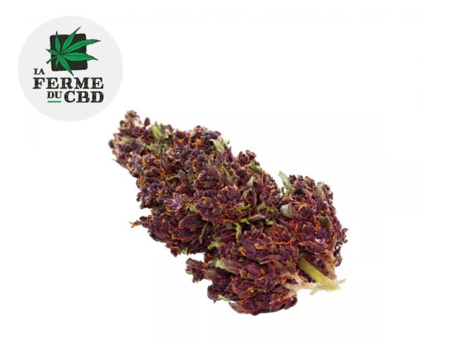 Purple Haze CBD 13% - La Ferme du CBD