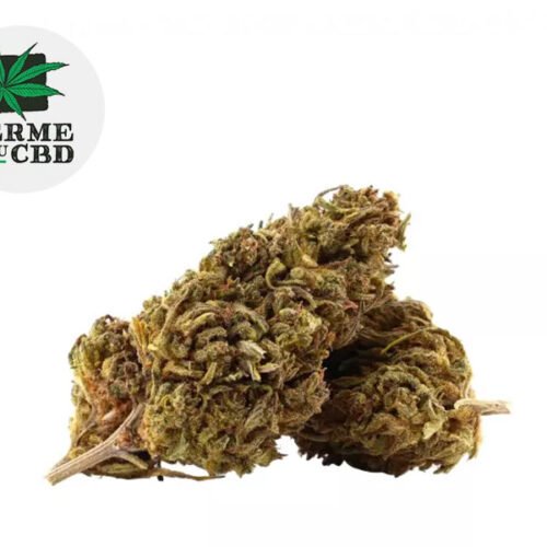 Mobydick CBD 15% - La Ferme du CBD