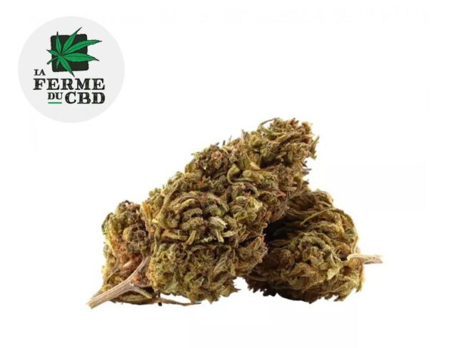 Mobydick CBD 15% - La Ferme du CBD