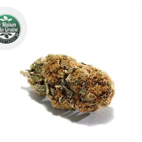 OG Kush CBD 16% - La Maison De La Graine