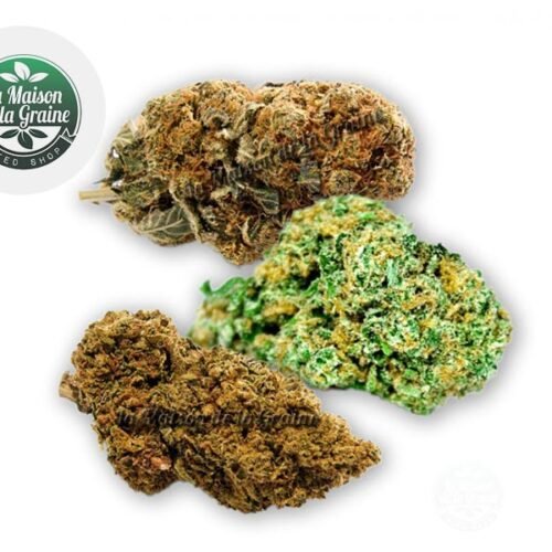 Coffret Découverte Fleurs CBD (15g) - La Maison De La Graine