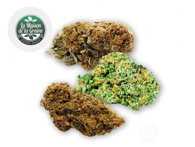 Coffret Découverte Fleurs CBD (15g) - La Maison De La Graine