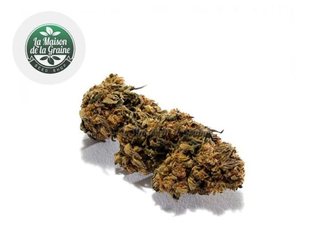 Strawberry CBD 18% - La Maison De La Graine