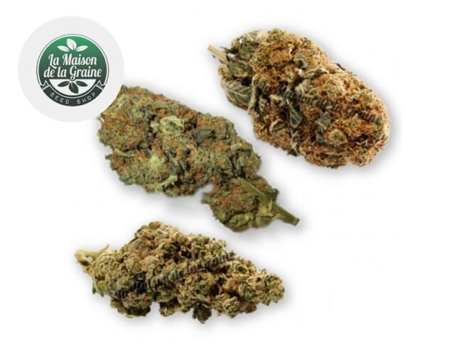 Coffret Expert Fleurs CBD (60g) - La Maison De La Graine
