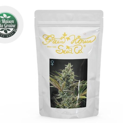 Graines Super Lemon Haze CBD autofloraison - Green House Seeds