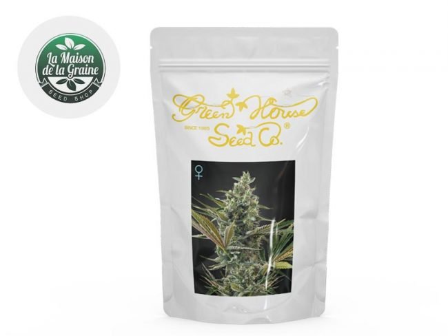 Graines Super Lemon Haze CBD autofloraison - Green House Seeds