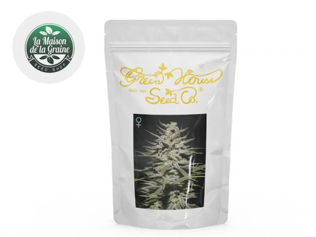 Graines Super Lemon Haze CBD féminisées - Green House Seeds