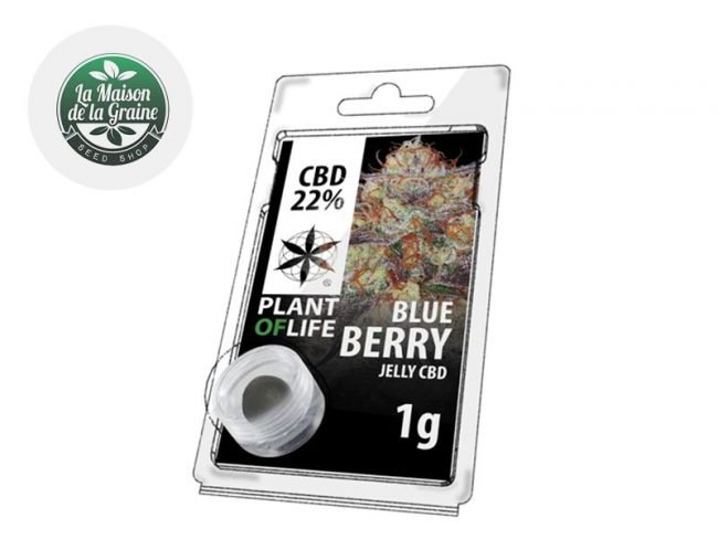 Blueberry Résine CBD 22% - Plantoflife