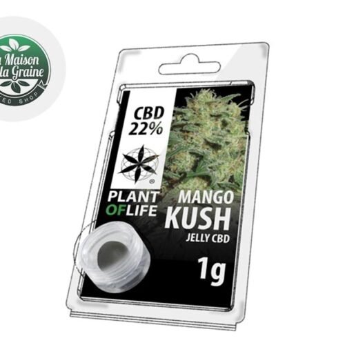 Mango Kush Résine CBD 22% - Plantoflife