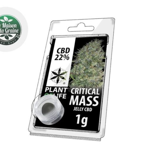 Critical Mass Résine CBD 22% - Plantoflife