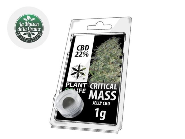 Critical Mass Résine CBD 22% - Plantoflife