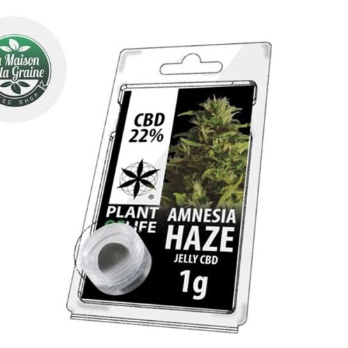 Amnesia Haze Résine CBD 22% - Plantoflife
