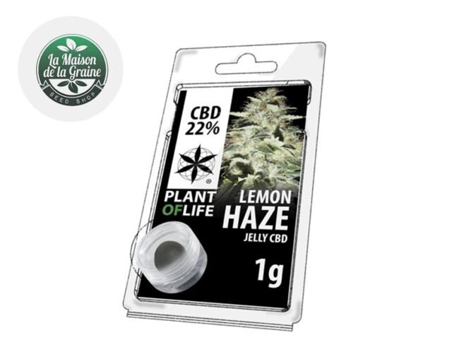 Lemon Haze Résine CBD 22% - Plantoflife