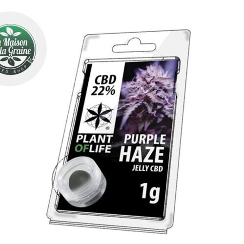 Purple Haze Résine CBD 22% - Plantoflife