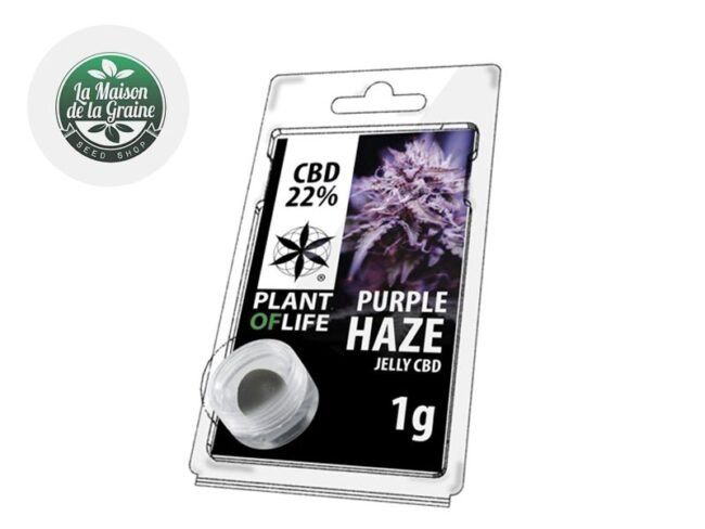 Purple Haze Résine CBD 22% - Plantoflife