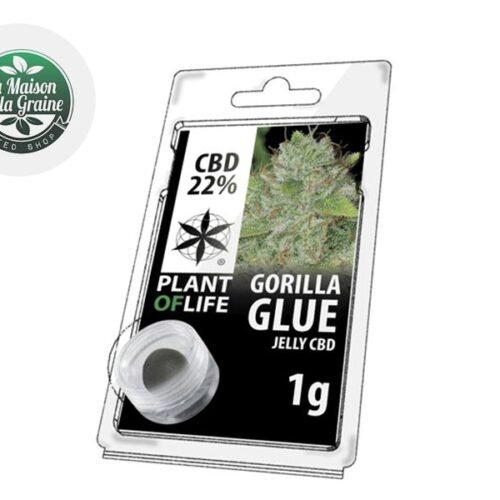 Gorilla Glue Résine CBD 22% - Plantoflife