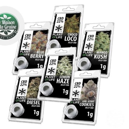 Pack Découverte Résine CBD (6g) - Plantoflife