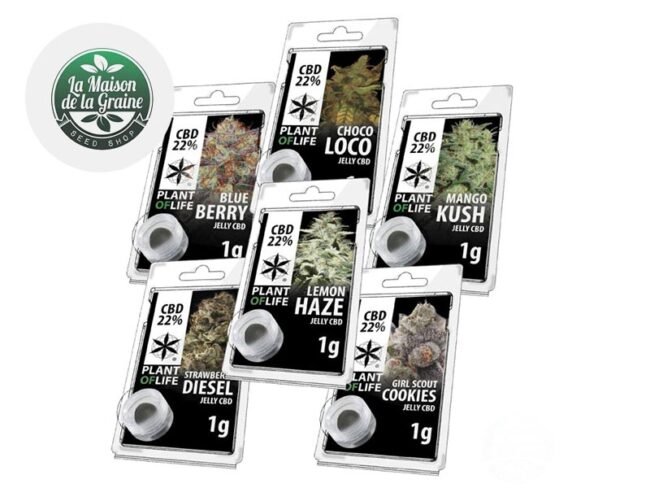 Pack Découverte Résine CBD (6g) - Plantoflife