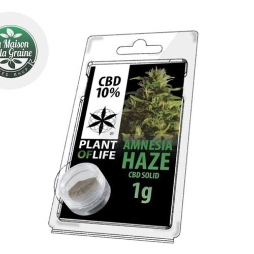 Amnesia Haze Pollen CBD 10% - Plantoflife