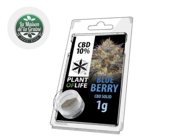 Blueberry Pollen CBD 10% - Plantoflife