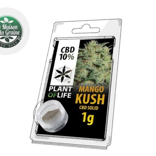 Mango Kush Pollen CBD 10% - Plantoflife