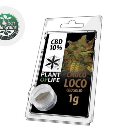 Chocoloco Pollen CBD 10% - Plantoflife