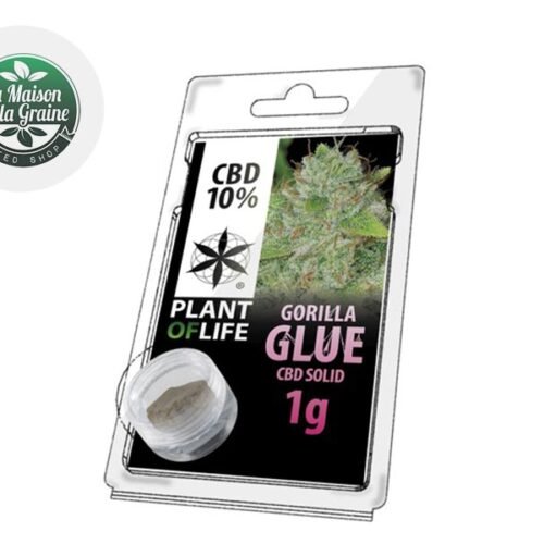 Gorilla Glue Pollen CBD 10% - Plantoflife