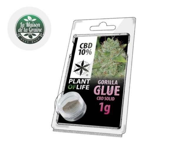 Gorilla Glue Pollen CBD 10% - Plantoflife