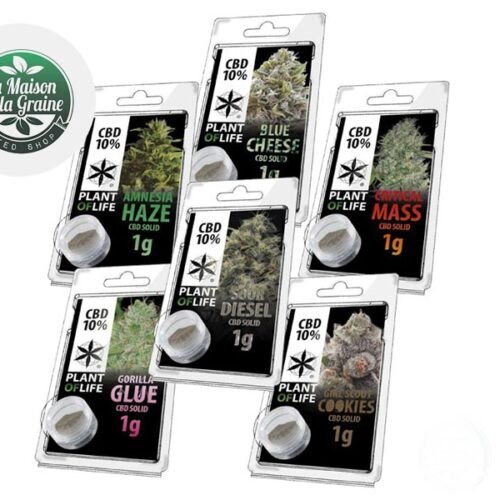 Pack Découverte Pollen CBD (6g) - Plantoflife