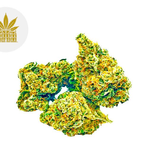Amnesia Haze CBD 13% - Maison Nassoy Le Baron