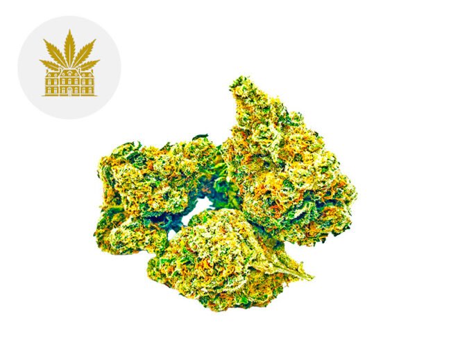 Amnesia Haze CBD 13% - Maison Nassoy Le Baron