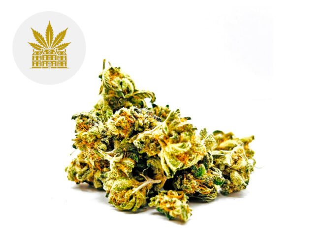 Lemon Grace CBD 8% - Maison Nassoy Le Baron